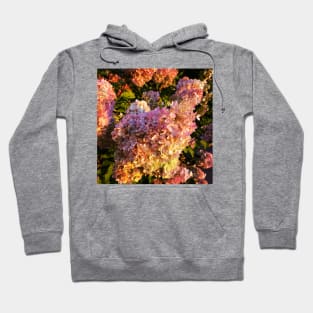 Pink Hydrangea Hoodie